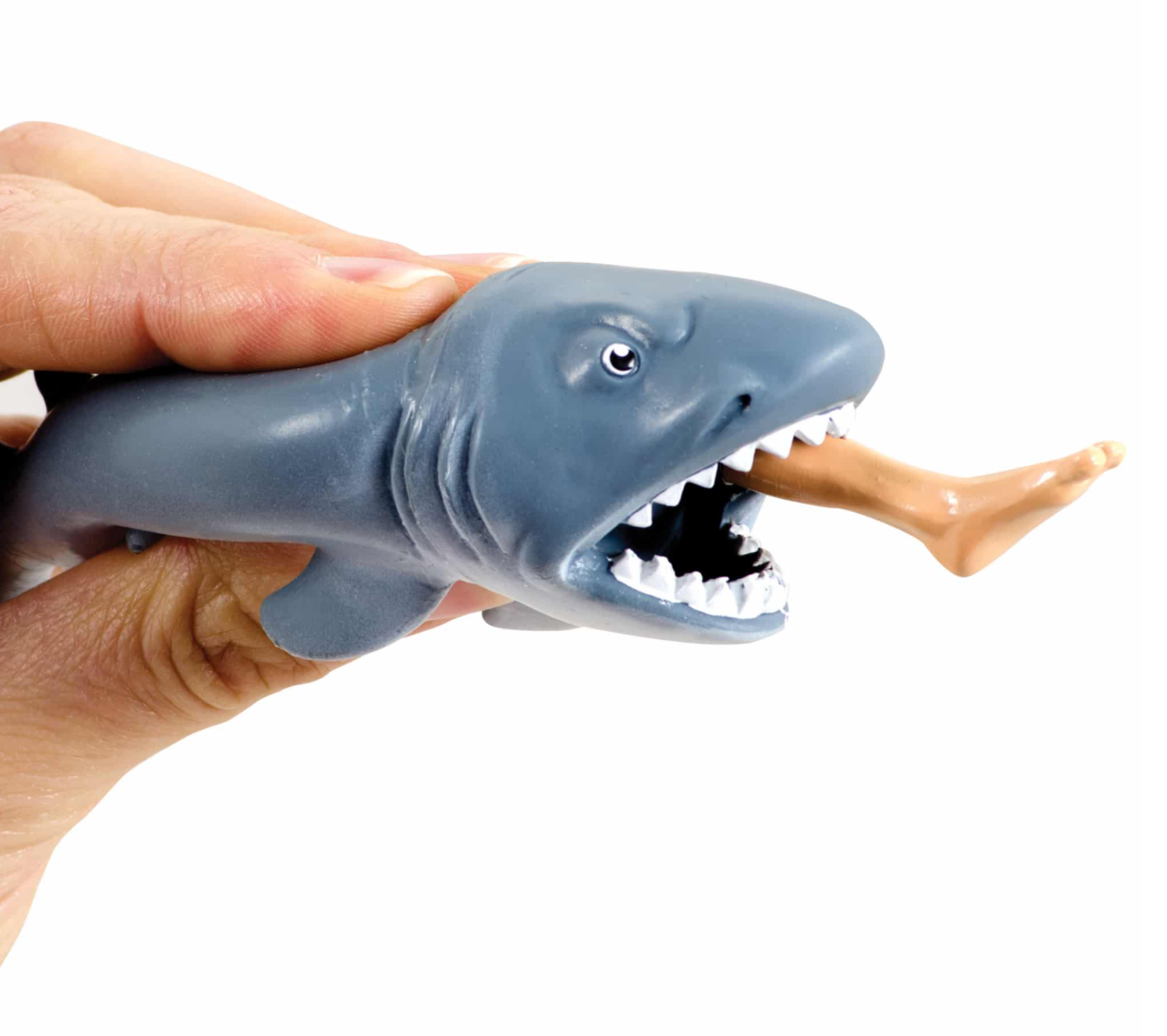 Chomp the Shark