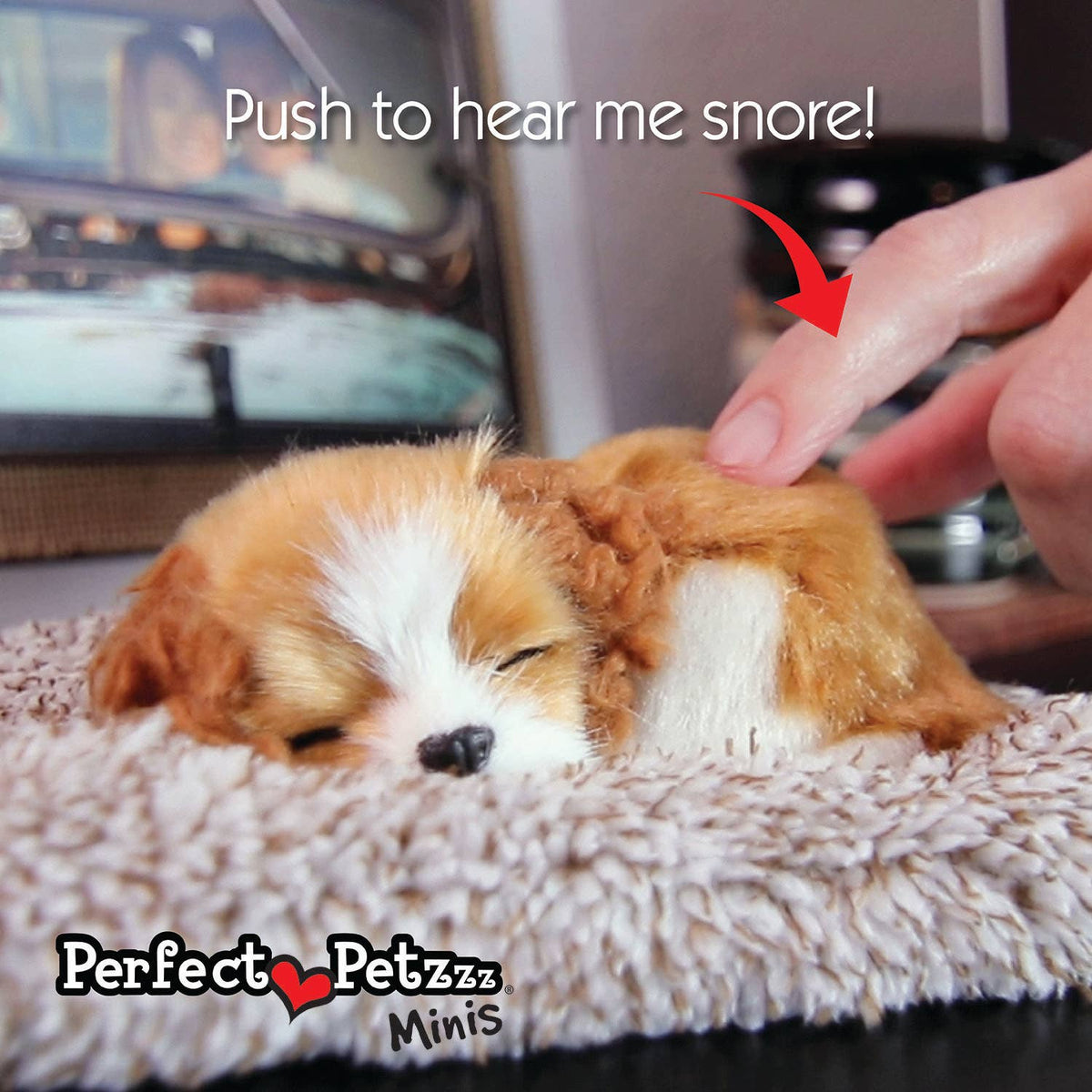 Mini German Shepherd Perfect Petzzz
