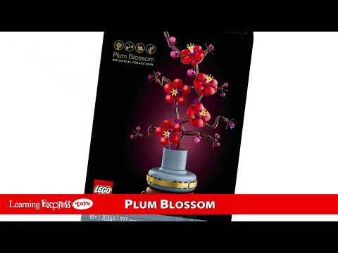 Plum Blossum
