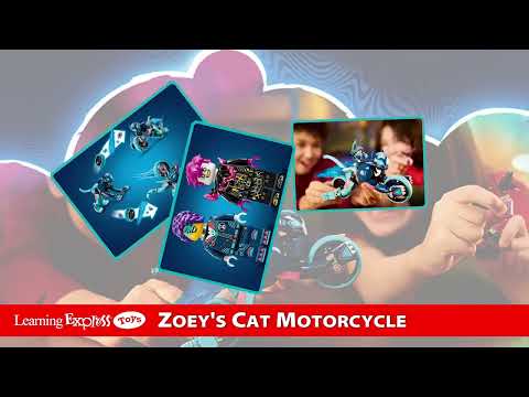 Zoeys Cat Motorcycle