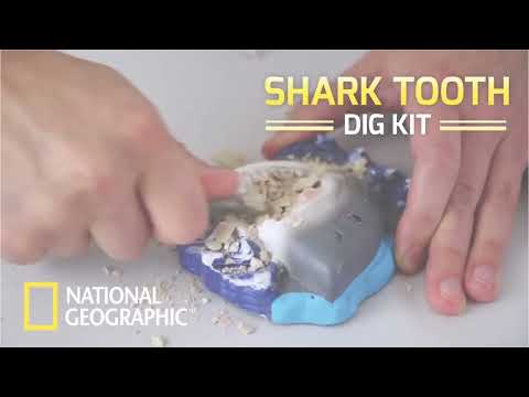 Ng Shark Tooth Dig Kit
