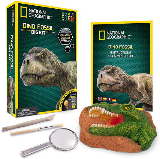 Ng Dino Fossil Dig Kit