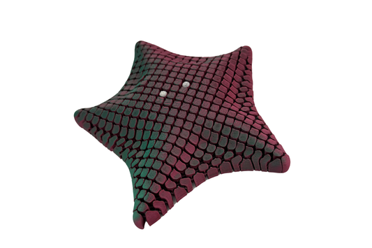 Articulated Starfish Fidget Toy