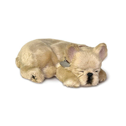 French Bulldog Perfect Petzzz