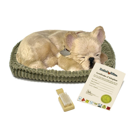 French Bulldog Perfect Petzzz