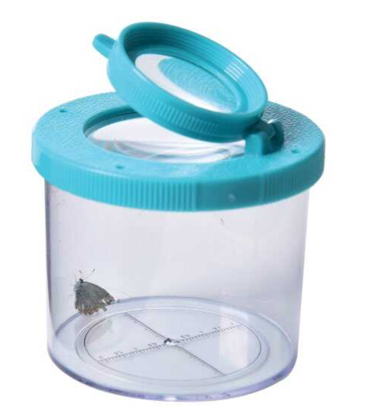 Bug Viewer