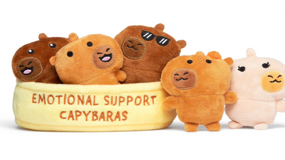 Emotional Support Pals Capybaras