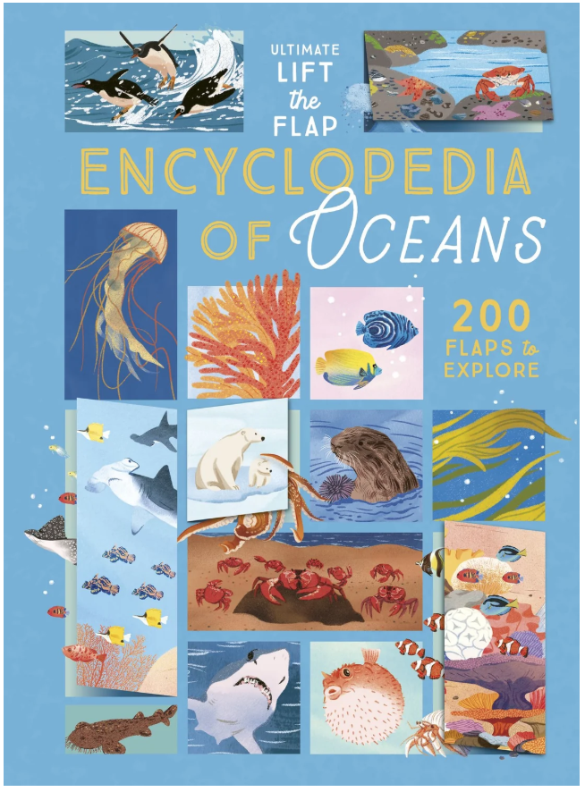 Ultimate Lift the Flap Encyclopedia of Oceans
