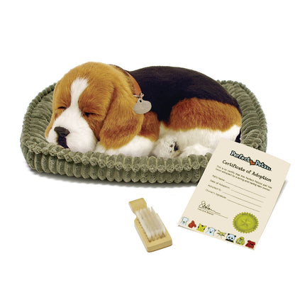 Original Beagle Perfect Petzzz