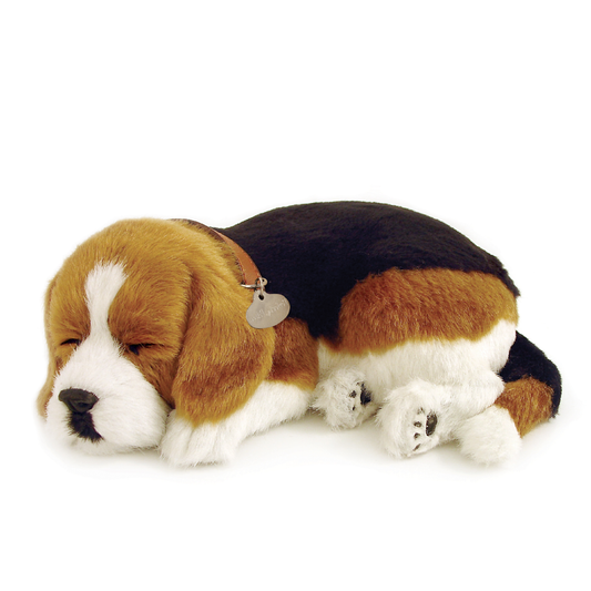 Original Beagle Perfect Petzzz