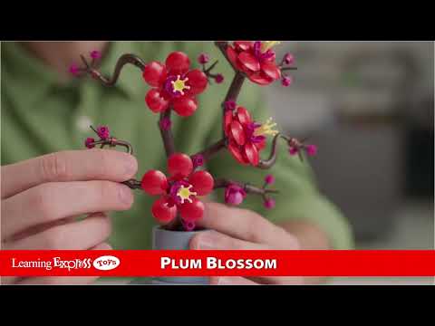 Plum Blossum