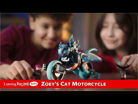 Zoeys Cat Motorcycle