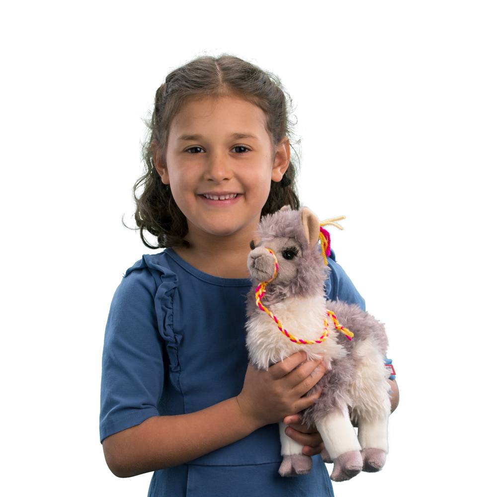 Zephyr Llama