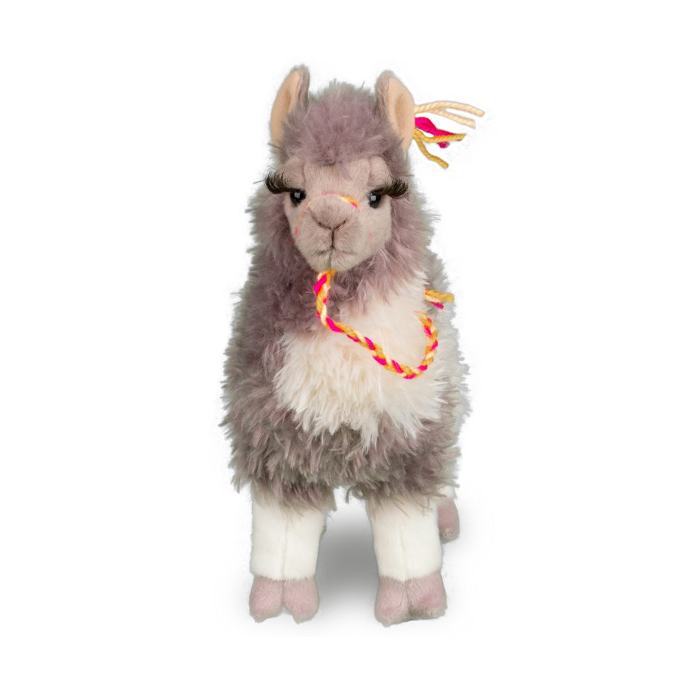 Zephyr Llama