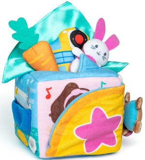 Ms Rachel Surprise Learning Box